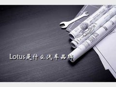 lotus,LotusʲôƷ