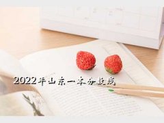ɽʡһ,2022ɽһ