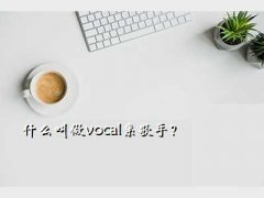 vacal,ʲôvocalϵ֣