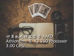 amd athlon,ͺ AMD Athlon(tm)  X2 250 Process