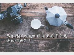 play,play޸иװƵĴ𣿣