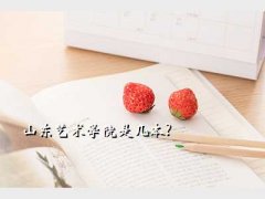 ɽʡѧԺ,ɽѧԺǼ?
