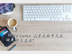 first love ,First Love׸ĸʲô˼