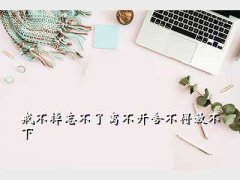 ɽ ۹ɽʲô˼,䲻벻᲻÷Ų