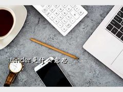 tenderʲô˼,tenderʲô˼