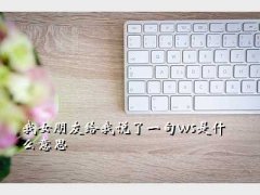 wsʲô˼,ŮѸ˵һwsʲô˼