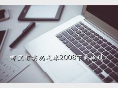 ʵ2008,ʵ2008صַ