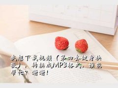 ׽,Ƶ׽裩תMP3ʽ