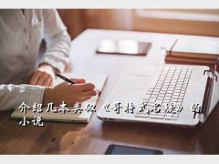ʽ,ܼơʽ¡С˵