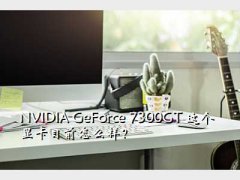 7300gt,NVIDIA GeForce 7300GT ԿĿǰô