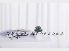 Сǵ,汦Сǵļ?
