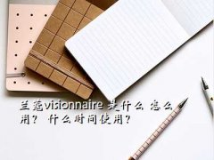 visionnaire,ޢvisionnaire ʲô ôã ʲôʱʹã