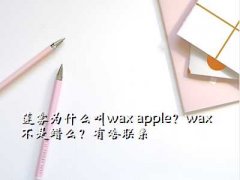  Ӣ,Ϊʲôwax applewaxôɶϵ