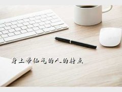 ϴ˵ص,ϴ˵ص