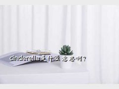 cinderellaʲô˼,cinderellaʲô˼