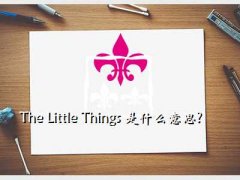 little things,The Little Things ʲô˼?