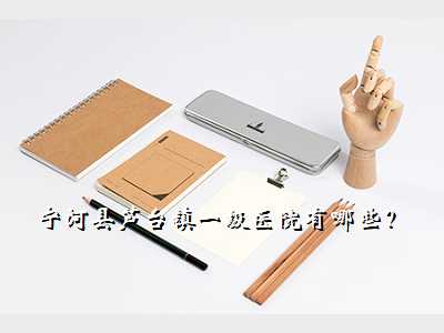 宁河县芦台镇一级医院有哪些?