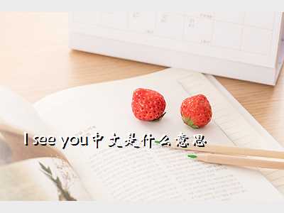 I see you中文是什么意思