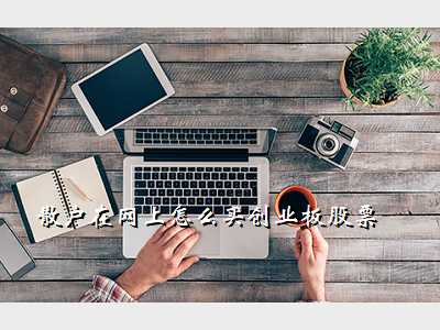 散户在网上怎么买创业板股票