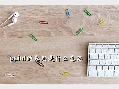 point的意思是什么意思