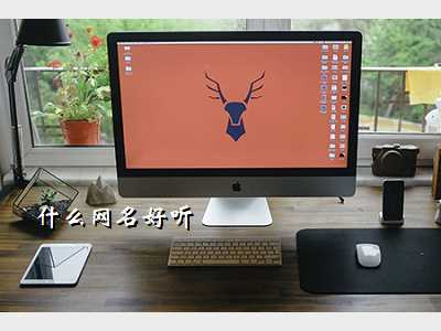 什么网名好听