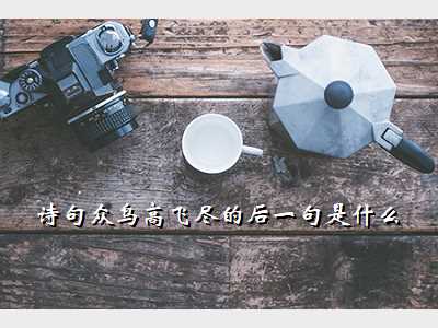 诗句众鸟高飞尽的后一句是什么