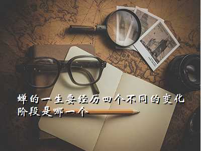 蝉的一生要经历四个不同的变化阶段是哪一个