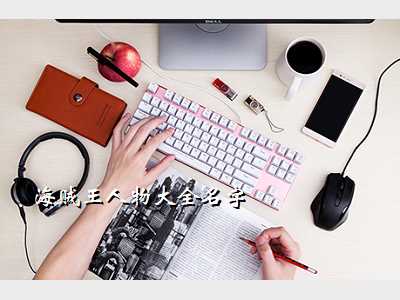 海贼王人物大全名字