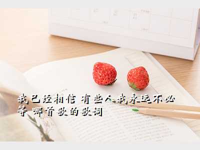 我已经相信 有些人我永远不必等 哪首歌的歌词