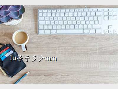 1u等于多少mm