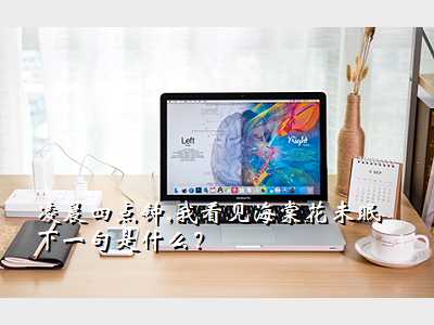 凌晨四点钟,我看见海棠花未眠下一句是什么?