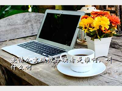 爱情公寓微微扮演者是谁啊,叫什么啊