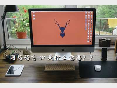 网络语言 sx 是什么意思??