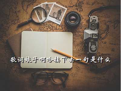 歌词娘子啊哈接下去一句是什么