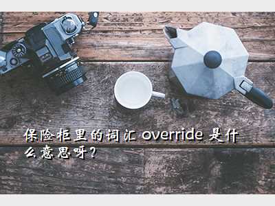 保险柜里的词汇 override 是什么意思呀?