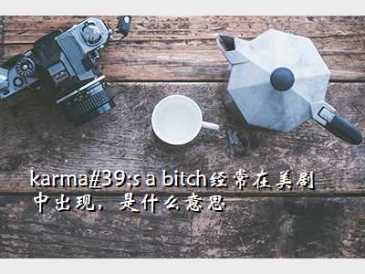 karma's a bitch经常在美剧中出现,是什么意思