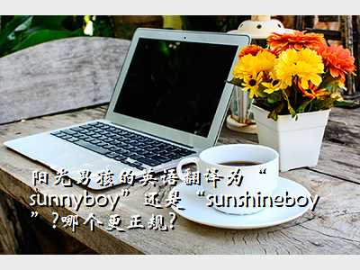 阳光男孩的英语翻译为“sunnyboy”还是“sunshineboy”?哪个更正规?