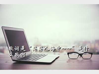 歌词是“茫茫人海中~~”是什么歌啊