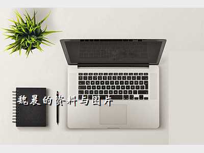 魏晨的资料与图片