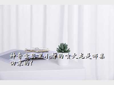 神奇宝贝里小智的喷火龙是哪集回来的?