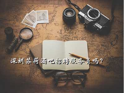 深圳苏荷酒吧招聘服务员吗?