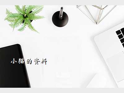 小猫的资料