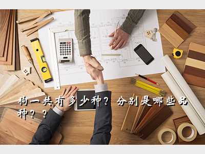 狗一共有多少种?分别是哪些品种??