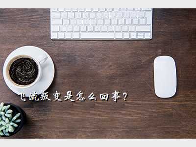 飞流叛变是怎么回事?