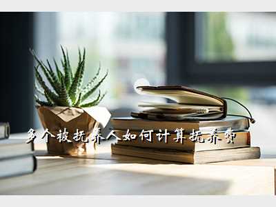 多个被抚养人如何计算抚养费