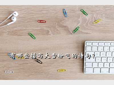 有哪些描写大雪纷飞的诗句?