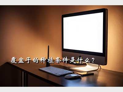 覆盆子的种植条件是什么?