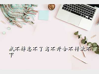 戒不掉忘不了离不开舍不得放不下