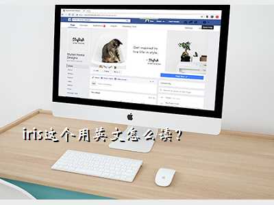 iris这个用英文怎么读?