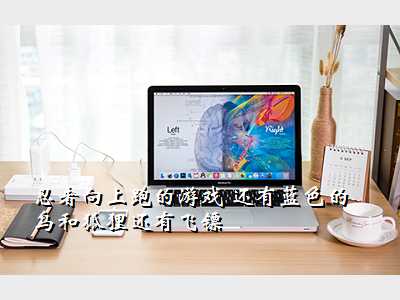 忍者向上跑的游戏 还有蓝色的鸟和狐狸还有飞镖